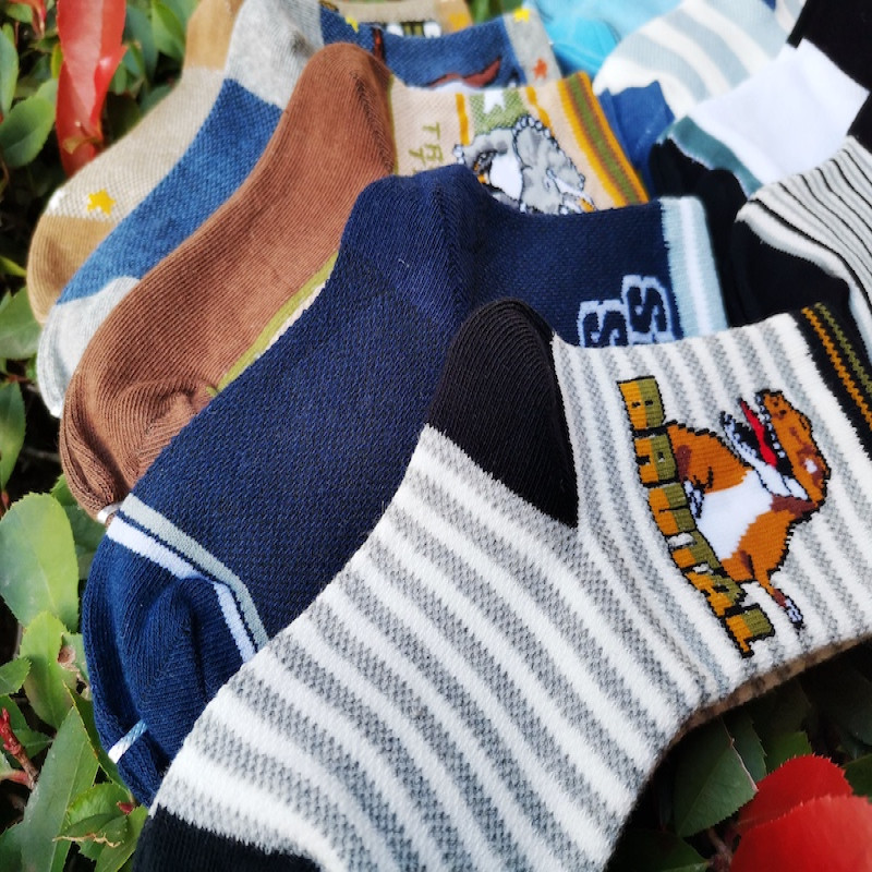 Kids Dinosaurs Design 6Y-8Y Cotton Socks Set of 10 Pairs KS72